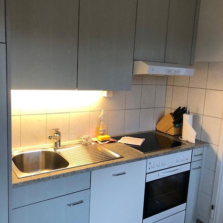 Cozy, Sunny, City Center 1 Bedroom Flat Zürich Kültér fotó