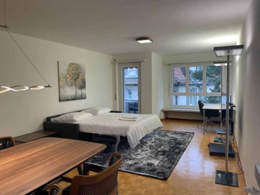 Cozy, Sunny, City Center 1 Bedroom Flat Zürich Kültér fotó
