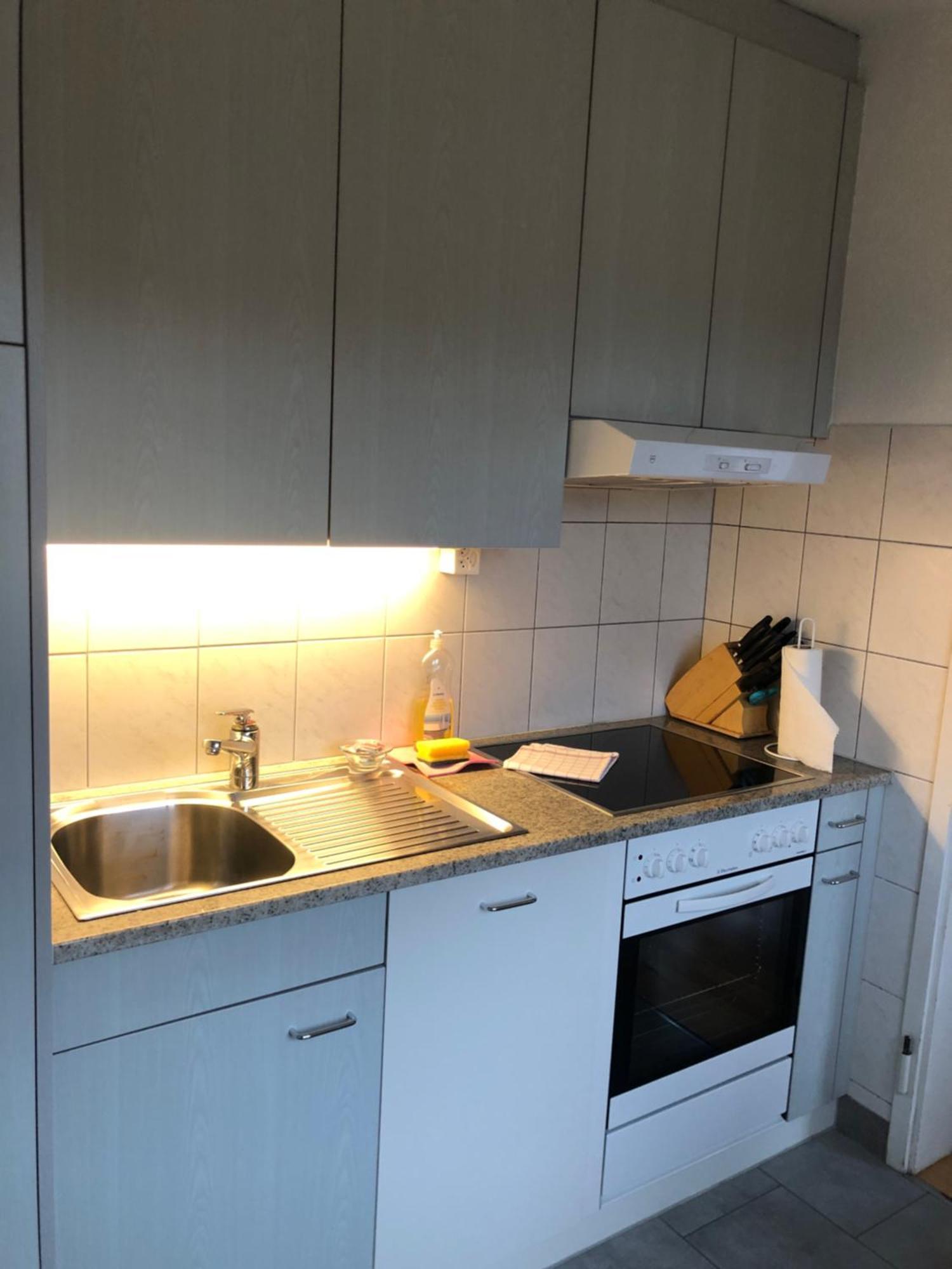 Cozy, Sunny, City Center 1 Bedroom Flat Zürich Kültér fotó